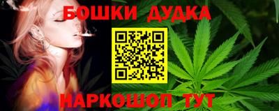 прущие крисы Дубна
