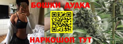 прущие крисы Дубна