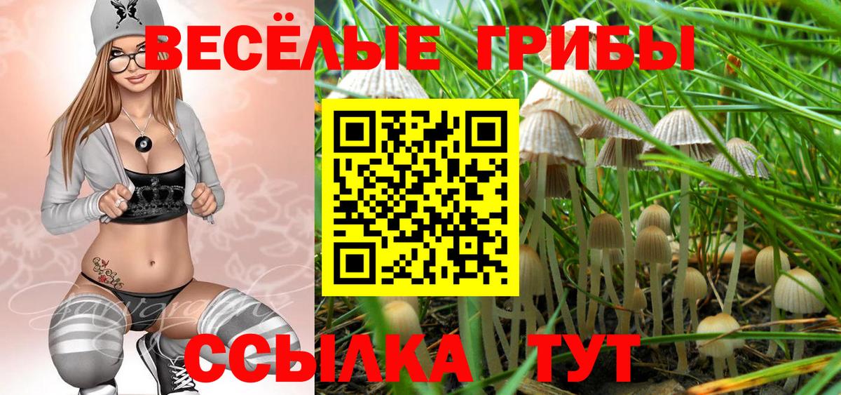 Галлюциногенные грибы прущие грибы Арсеньев
