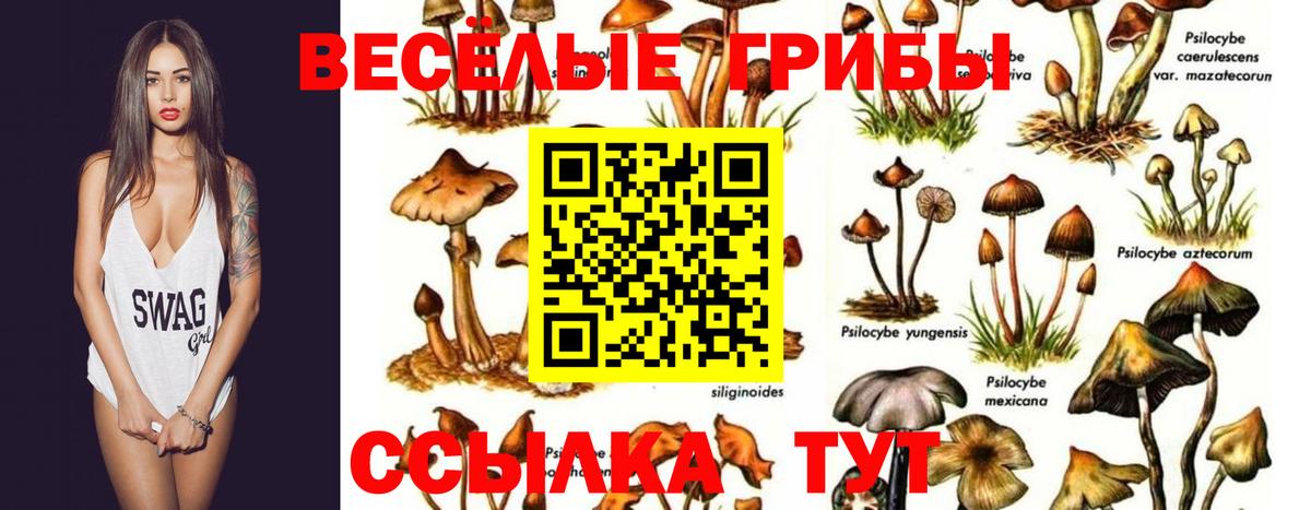 МЕТ  Альфа ПВП СК кристаллы  КОКАИН  Вход с VPN  Мефедрон  Вейп ТГК  МАРИХУАНА  Гашиш  Лсд 25  ГАШИШ  Арсеньев  Меф МЯУ МЯУ  